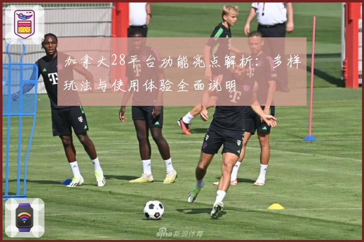 加拿大28平台功能亮点解析：多样玩法与使用体验全面说明