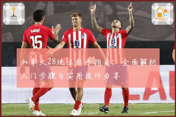 加拿大28玩法新手指南:全面解析入门步骤与实用技巧分享