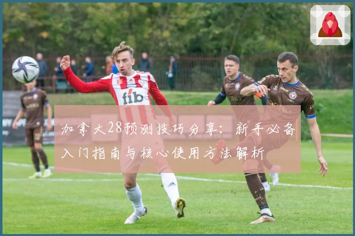 加拿大28预测技巧分享：新手必备入门指南与核心使用方法解析
