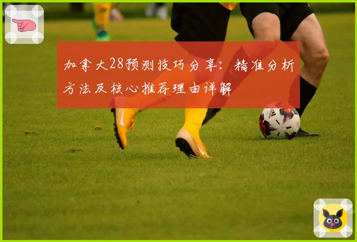 加拿大28预测技巧分享：精准分析方法及核心推荐理由详解