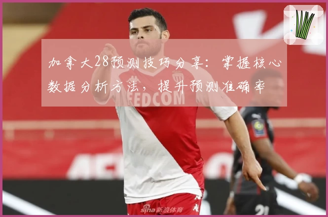 加拿大28预测技巧分享：掌握核心数据分析方法，提升预测准确率