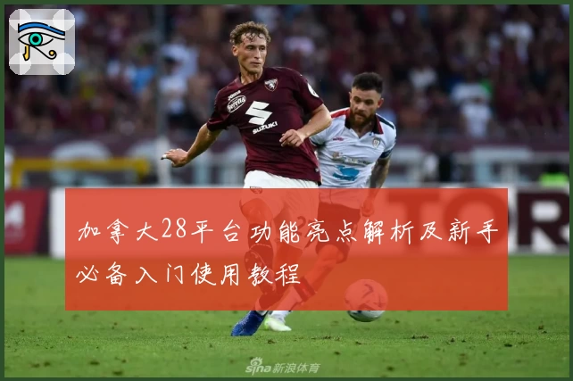 加拿大28平台功能亮点解析及新手必备入门使用教程