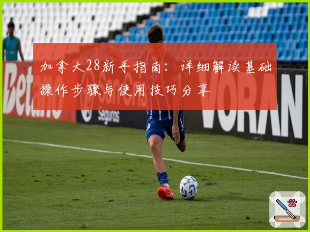 加拿大28新手指南：详细解读基础操作步骤与使用技巧分享