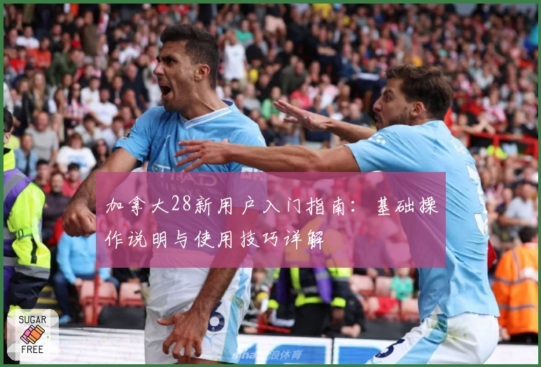 加拿大28新用户入门指南：基础操作说明与使用技巧详解