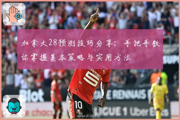 加拿大28预测技巧分享：手把手教你掌握基本策略与实用方法