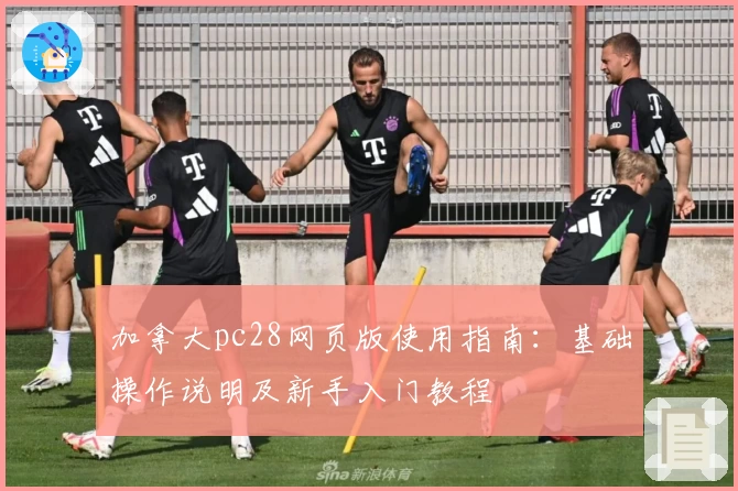 加拿大pc28网页版使用指南：基础操作说明及新手入门教程