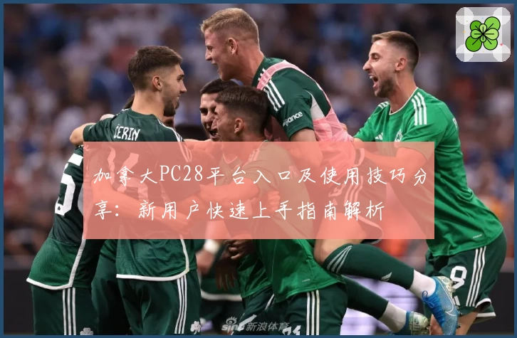 加拿大PC28平台入口及使用技巧分享:新用户快速上手指南解析