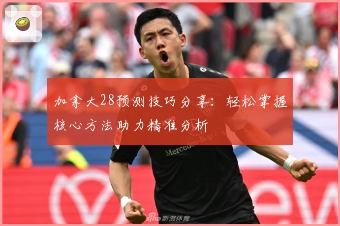 加拿大28预测技巧分享:轻松掌握核心方法助力精准分析
