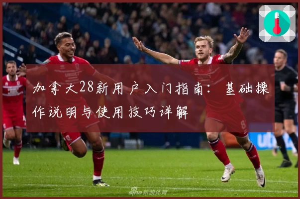 加拿大28新用户入门指南：基础操作说明与使用技巧详解