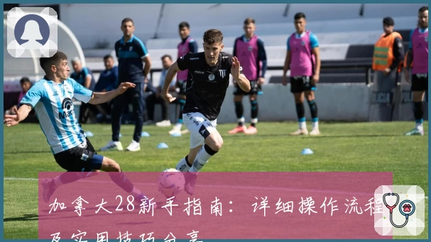 加拿大28新手指南：详细操作流程及实用技巧分享