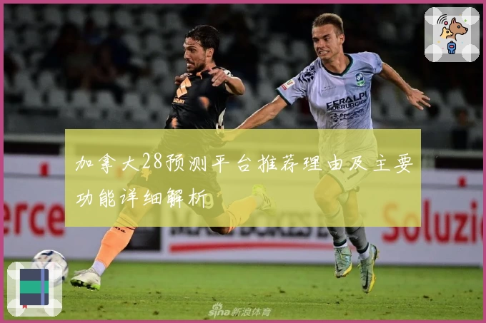 加拿大28预测平台推荐理由及主要功能详细解析